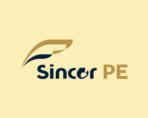 Sincor PE Grupo 1.jpg